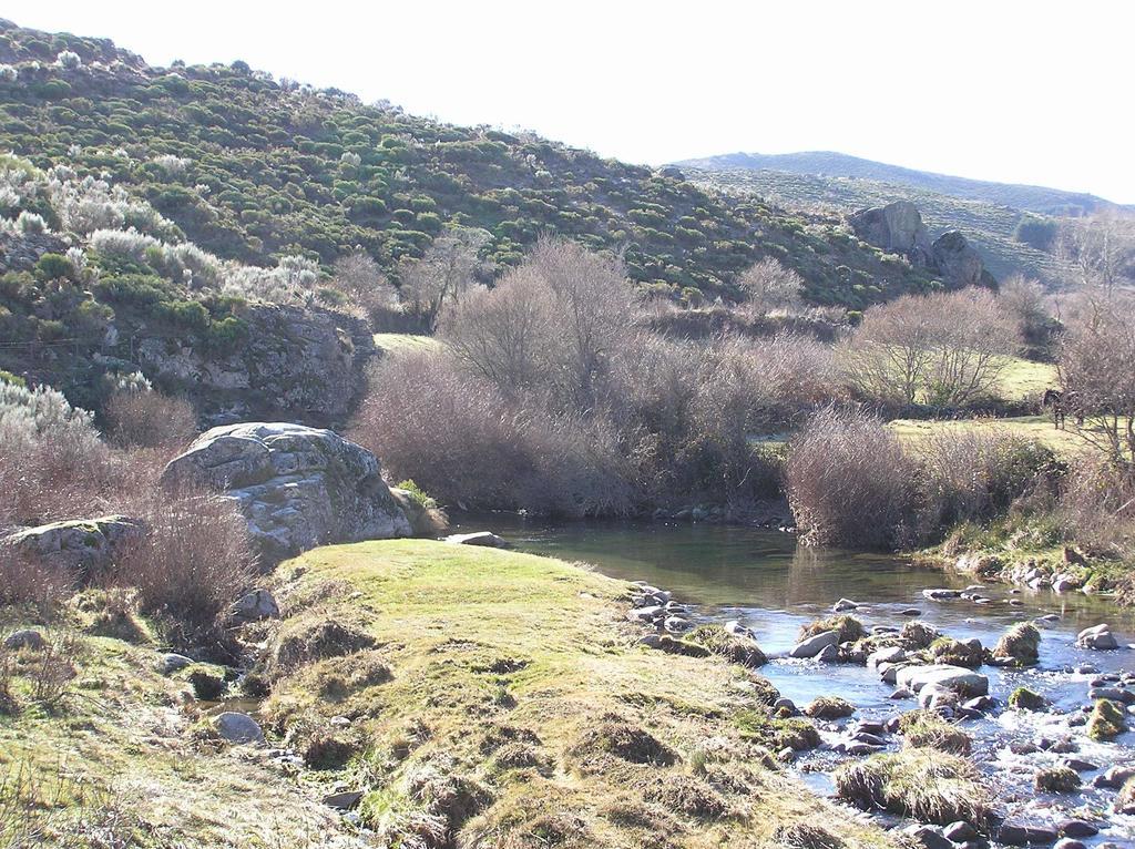 El Cerrillo 1 Country house