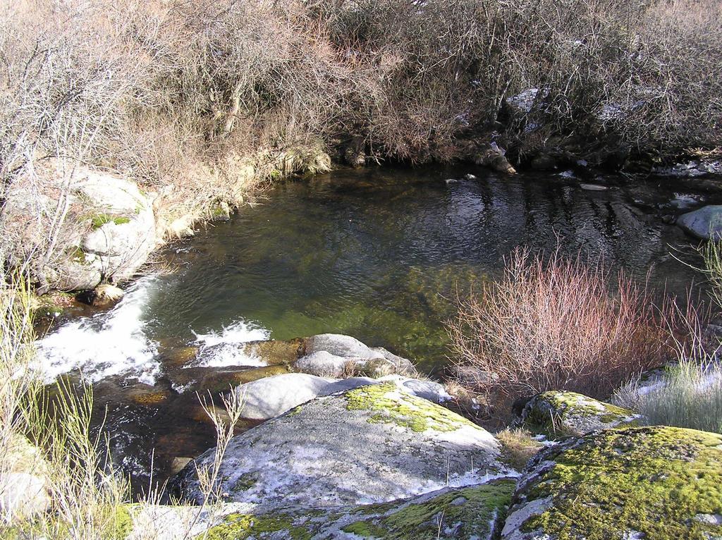 El Cerrillo 1 San Martin del Pimpollar